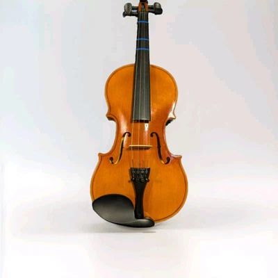 Stagg VN-L Series Student Violin Outfit 4/4 - Image 1 of 4