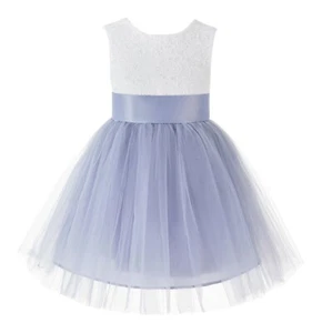 Backless Lace V-Back Flower Girl Dress Tulle Dresses Girl Dress Special Occasion - Picture 1 of 21