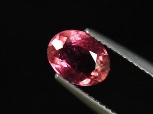 Rubellit roter Turmalin / Rubellite Tourmaline 1,28 Ct. Oval (6531m) - Bild 1 von 1