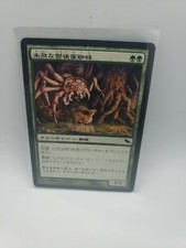 Juvenile Gloomwidow Japanese x1 - Shadowmoor - MTG - Near Mint