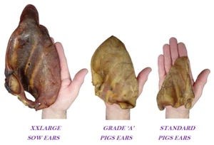 Premium Quality 100% Natura XXLarge Pig Sows Ears Grade 'A' Pigs Ears Dog Treat - Picture 1 of 12