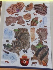 Vtg Smokey the Bear Poster Leave a Good Impression Forest Tracks Footprints - Picture 1 of 1