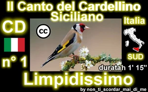 CANTO DEL CARDELLINO SICILIANO PER NOVELLI INCARDELLATI SU CHIAVE USB TYPE-C CD - Picture 1 of 2