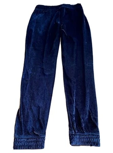 Ivivva Set to Go Jogger NWT, size 12, black velour Perfect condition $40 obo - Picture 1 of 5