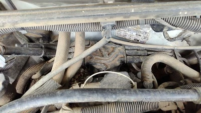 Blazer S10 1996-2005 distribuidor de encendido OEM 4,3 L 12598210 Foto 1 de 4