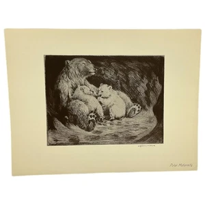 Will Simmons Polar Maternity Signed Etching Reproduction Nature Magazine - Picture 1 of 3