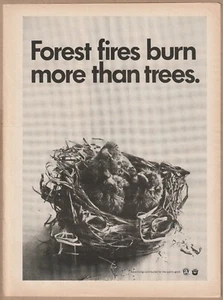 1971 Forest Fire Awareness estampado vintage anuncios queman más que árboles - Imagen 1 de 5