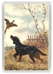 GORDON SETTER HUND & FASAN KUNSTDRUCK NEUHEIT ACRYL KÜHLSCHRANKMAGNET TOLLES GESCHENK - Bild 1 von 1