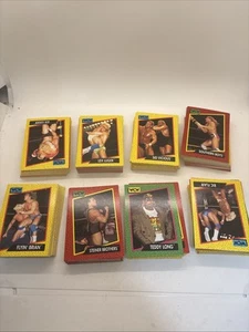Lote de tarjetas coleccionables Wcw 1991 (400 tarjetas más) duplicados Ric Flair Lex Luger - Imagen 1 de 3