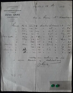 ALTE RECHNUNG - JULES LANG - SAINT DIE 1903 - Bild 1 von 3