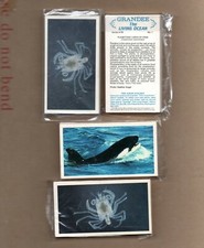 TZ royalty seaside military butterflies - cigarette / other card sets From £4.99