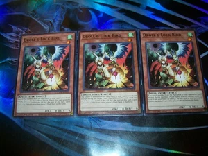 3x Droll & Lock Bird 1ª Edición Común L5DD-ENC04 Yu-Gi-Oh! - Imagen 1 de 1