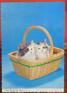 Dexter Press Post Card REAL KITTENS IN BASKET "We're Ready, Are You?" Not Signed - Picture 1 of 3