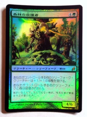 Timber Protector *FOIL* - MtG Lorwyn [LRW] - Near Mint NM Japanese - Image 1 of 2