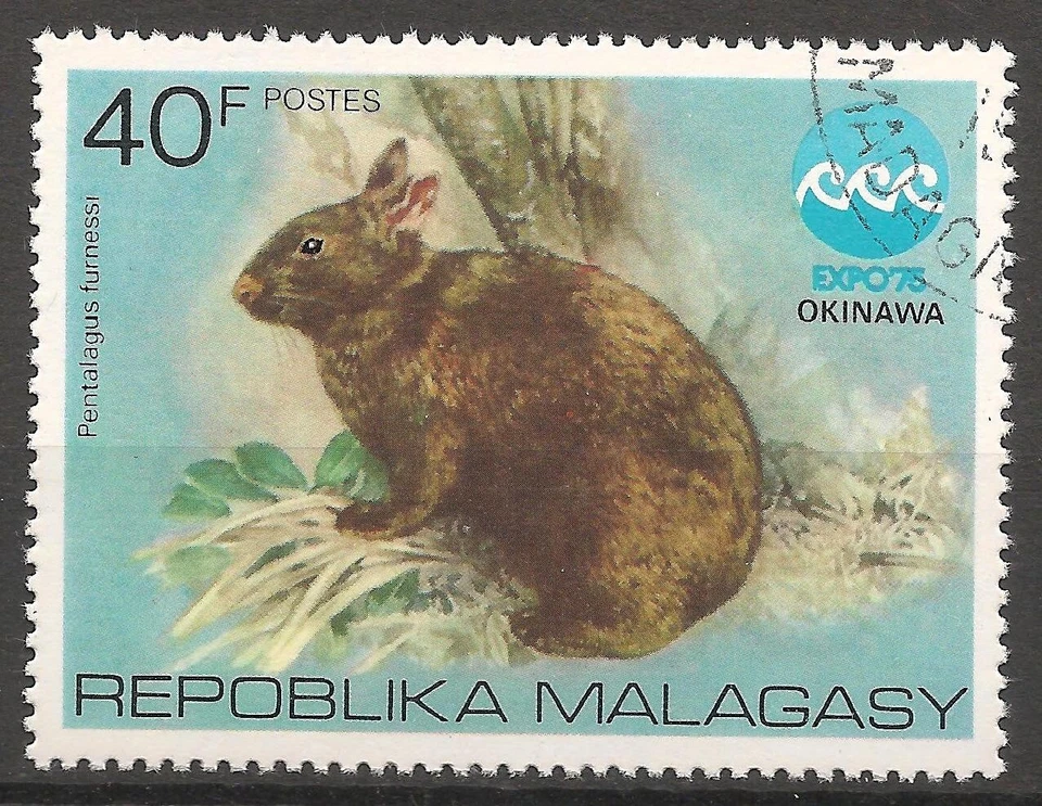 Malagasy Republic #533 USED - 1975 40fr Rabbit / Expo - Image 1 of 1
