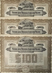 3 Acciones De 100 Pesos Sindicato Minero Asiento Viejo . Febrero 1917 - Picture 1 of 2