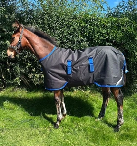 Horseware Amigo Ripstop 900D Foal Turnout Rug Expandable Lightweight 50g 2'6-5'0 - Picture 1 of 10