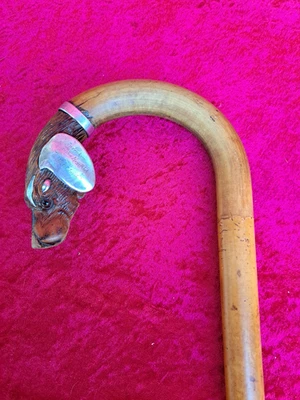 Très Beau Canne Ancienne, Canne De Marche, Tête De Chien En 950 Argent - Photo 1/4