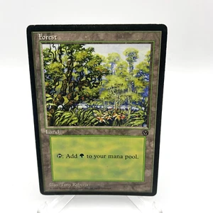 MTG ~ Forest ~ Arena League Promo (1996) LP ~ Vintage Magic Rare - Bild 1 von 2