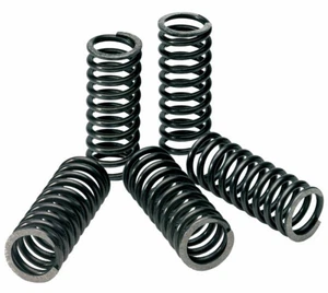 Pro Circuit Clutch Springs-Suzuki-RMZ 250-2007-2025 - Imagen 1 de 1