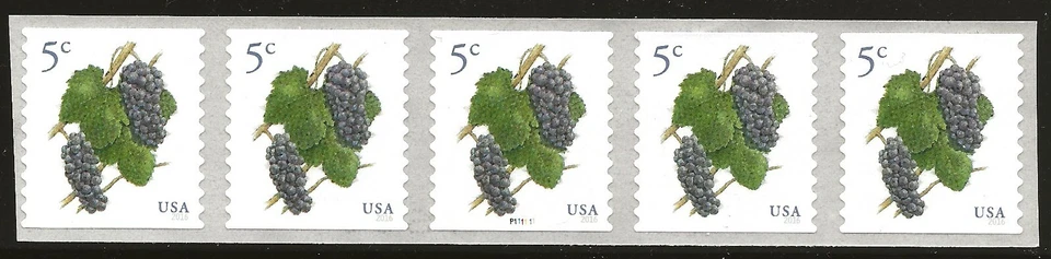 US Scott #5038, Plate #P111111 Coil of 5 2016 Grapes VF MNH - Image 1 of 1
