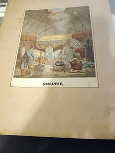 Shelter Book - Picture 1 of 1