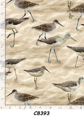 Beach Cotton Quilt fabric Timeless Treasures BTY Sand Pippers on Sand C8393 - Image 1 of 4