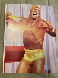 Hulk Hogan Wrestling 2002 1989 WWF WWE Pinup Poster - Picture 1 of 1