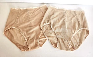 Vintage Warner's Sheer Mesh Nude Beige Brief Panties 2 Pairs Size Medium #2458X - Picture 1 of 11