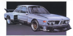 Micro Ace 1/24 Owners Club '77 BMW 3.5CSL Plastic Model No.8 - Picture 1 of 1