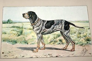 BRAQUE DU WÜRTTEMBERG MAHLER AQUARELL MANUFAKTUR 1907 - Bild 1 von 1