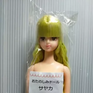 Muñeca de moda LICCA CASTLE M3416 10,62 pulgadas / 27 cm JENNY Friend SAYAKA ÚNICA muñeca divertida - Imagen 1 de 3