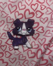 littlest pet shop 1676 authentic collie purple dog