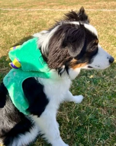 Thrills & Chills M Dog Halloween Costume Monster Vest Harness - Picture 1 of 6