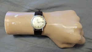 Las mejores ofertas en Relojes de pulsera Sears | eBay