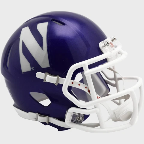 NORTHWESTERN WILDCATS NCAA Riddell SPEED Authentic MINI Football Helmet Cover