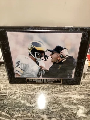 Foto enmarcada de 10 x 8 Jim Harbaugh & Bo Schembechler Foto 1 de 4