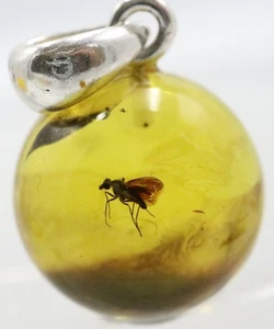 Amber Pendant With Insect, 925 | Baltic Amber with Fossil |Amber Inclusion - Picture 1 of 9