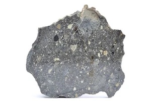 Meteorite NWA 5230 - Eucrite-pmict - found 2007 in NW Africa - full slice 8.08 g - Picture 1 of 11
