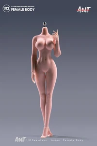 Figura de acción corporal femenina ANT 1:12 bronceado pecho grande regordete cadera sin costuras 6 pulgadas - Imagen 1 de 15
