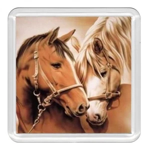 Horse Two Beautiful Horses Acrylic Coaster Novelty Drink Cup Mat Great Gift - Picture 1 of 1