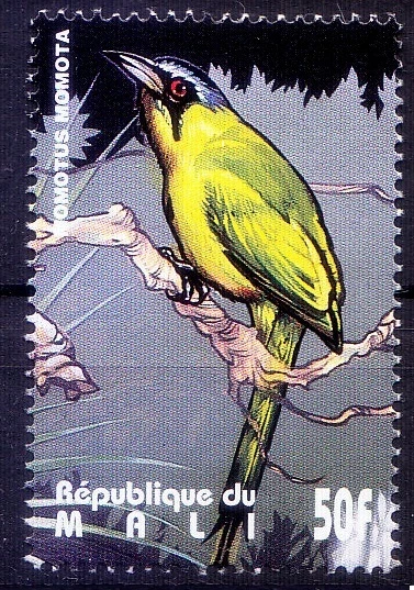 Mali 1995 MNH, Birds, Pendulum bird, Omotus Momota   - Image 1 of 1
