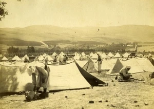 Morocco Meknes Camp of Olive Trees Oliviers Tringlots & Turcos Old Photo 1894 - Imagen 1 de 3