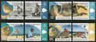 Ascension Island 2009 MNH 8v, Turtle, Eggs, Reptiles, Research & Conservation