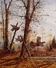 David Hagerbaumer Indian Summer - Ruffed Grouse Signed Limited Edition on Paper