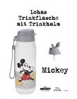 Tupperware Disney Lohas Trinkflasche Flasche Mickey and Friends Edelstahl Neu