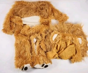 Lion Cub Infant  Dress Up Halloween Costume 0-6 Months (7C5) - Bild 1 von 5