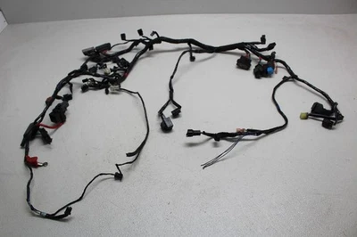 TRIUMPH DAYTONA 675 2006-2008 ARNÉS DE CABLEADO MOTOR TELAR DE CABLE Foto 1 de 4