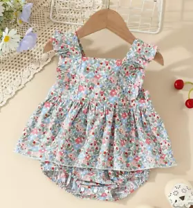 Romper Dress Pink Blue Baby Girl Flutter Flowers NEW Floral Ruffles Skirt 111 - Picture 1 of 6