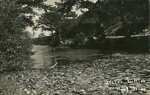 Postal RPPC Water Lillies Hunt Texas 1943 - Imagen 1 de 1